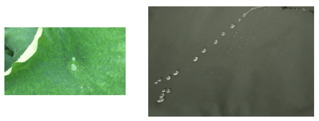 好体育app官方版最新下载医用纺织