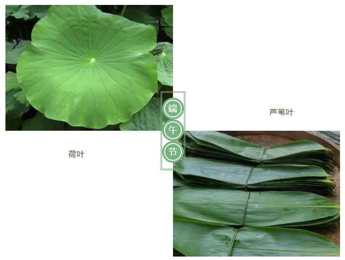 好体育app官方版最新下载医纺