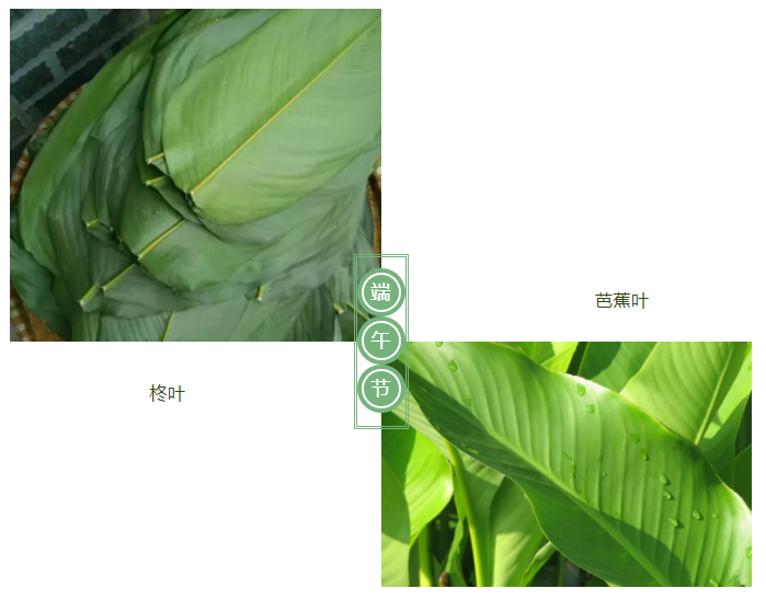 好体育app官方版最新下载医纺