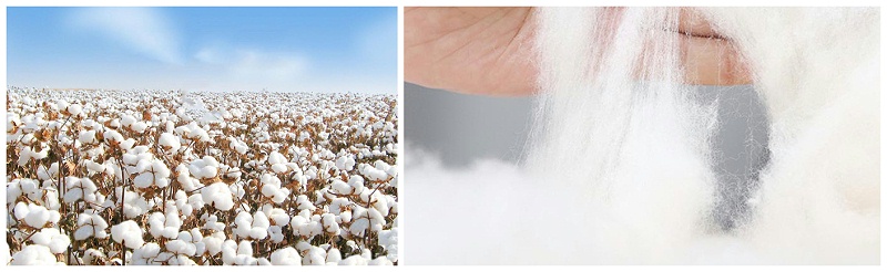 好体育app官方版最新下载医纺