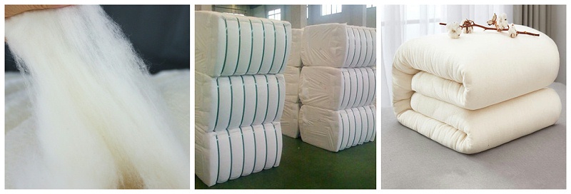 好体育app官方版最新下载医纺