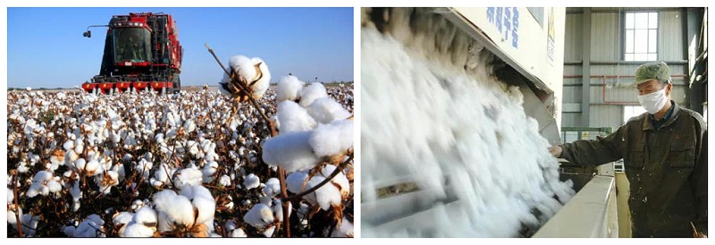 好体育app官方版最新下载医纺