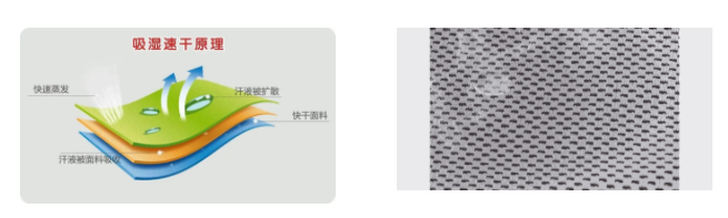 好体育app官方版最新下载医用纺织