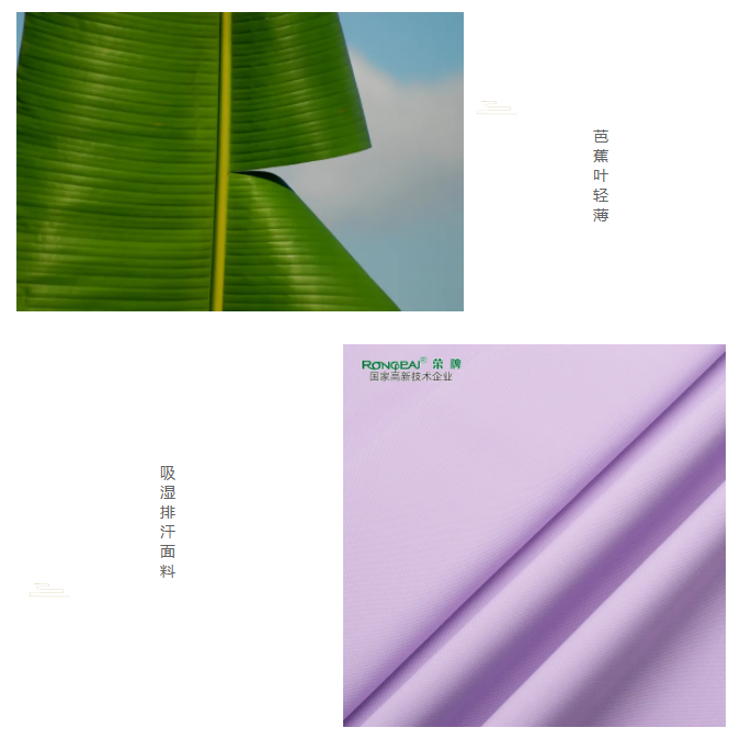 好体育app官方版最新下载医纺