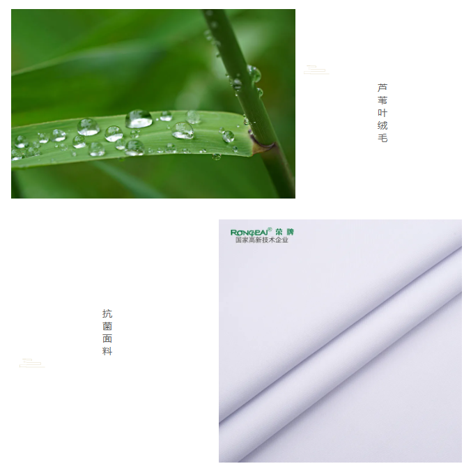 好体育app官方版最新下载医纺