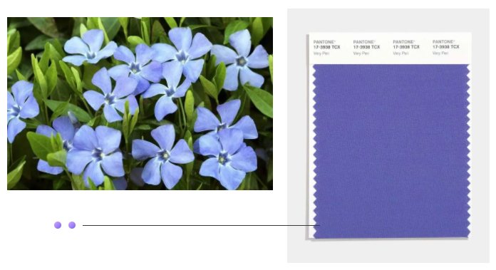 好体育app官方版最新下载纺织面料