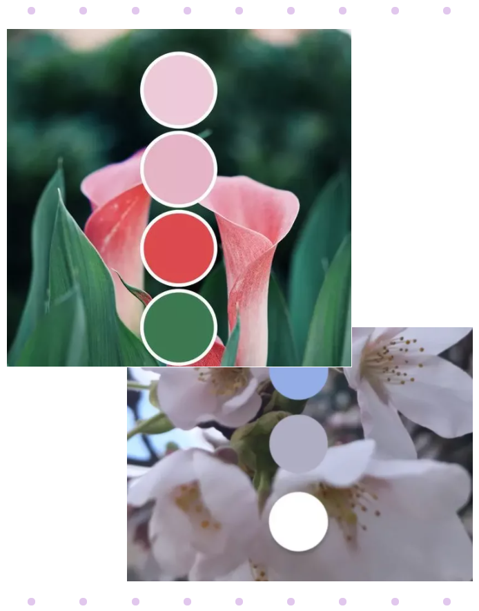 好体育app官方版最新下载纺织面料