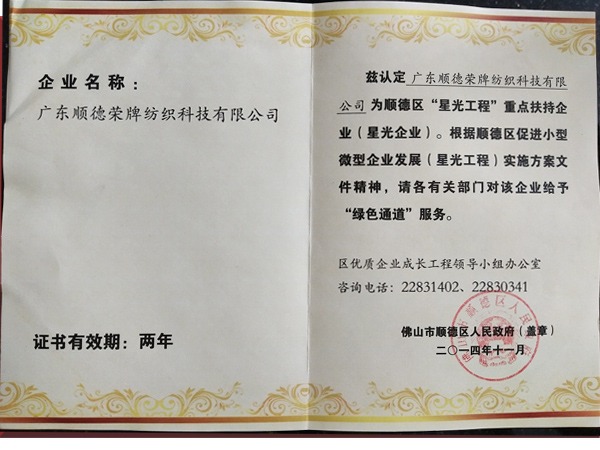 好体育app官方版最新下载荣获政府重点扶持企业